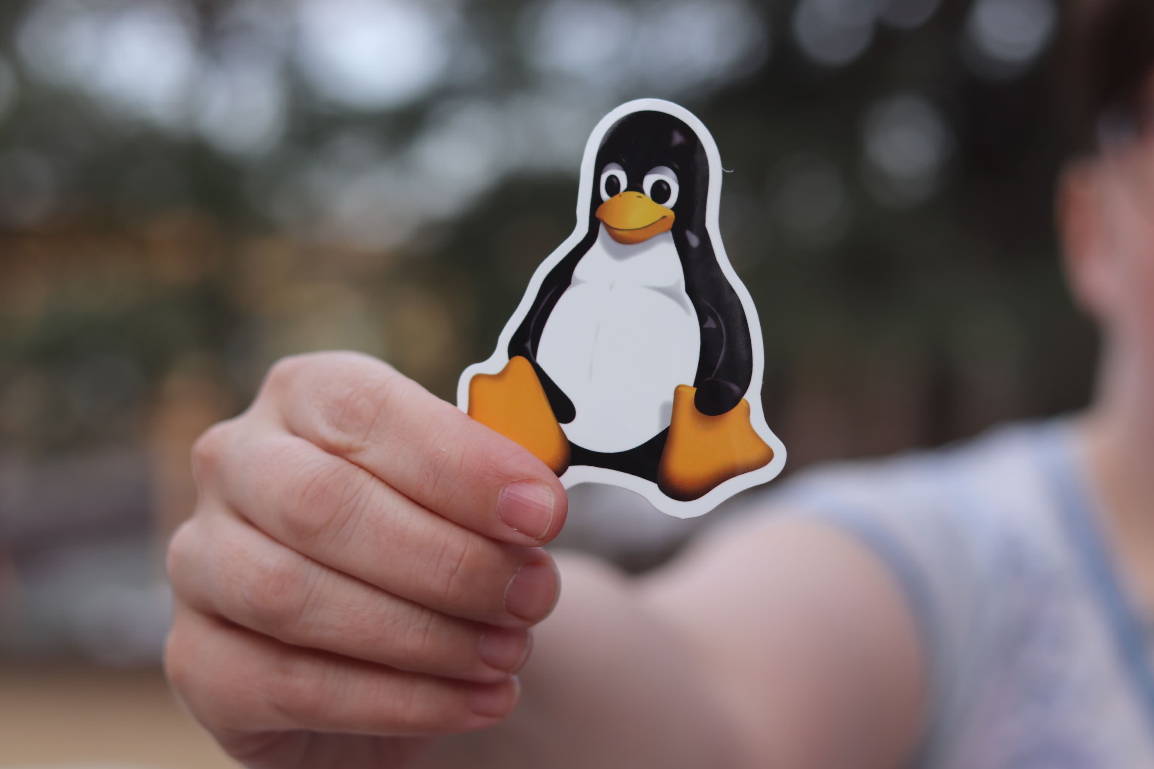 VPN Linux — jaki wybrać i jak skonfigurować krok po kroku?